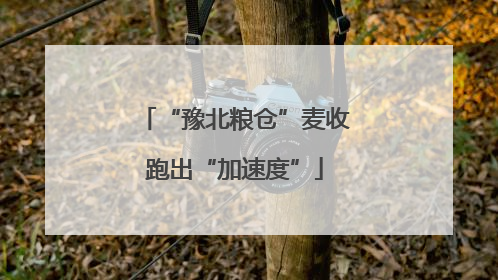 “豫北粮仓”麦收跑出“加速度”