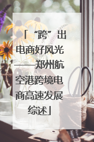 “跨”出电商好风光——郑州航空港跨境电商高速发展综述