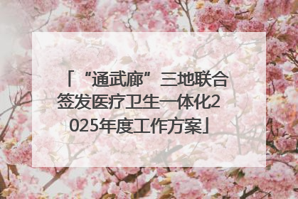“通武廊”三地联合签发医疗卫生一体化2025年度工作方案