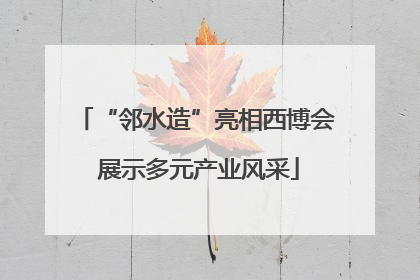 “邻水造”亮相西博会 展示多元产业风采