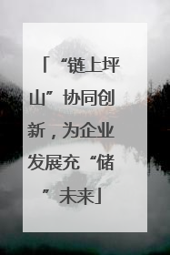 “链上坪山”协同创新，为企业发展充“储”未来