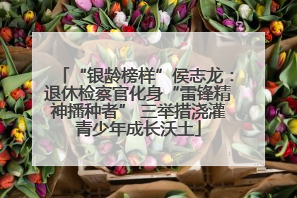 “银龄榜样”侯志龙：退休检察官化身“雷锋精神播种者” 三举措浇灌青少年成长沃土
