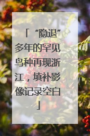 “隐退”多年的罕见鸟种再现浙江，填补影像记录空白