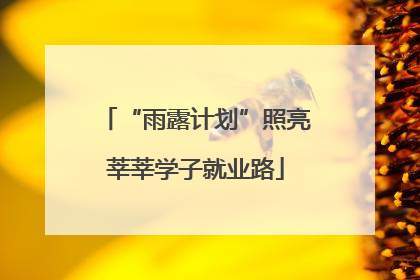 “雨露计划”照亮莘莘学子就业路