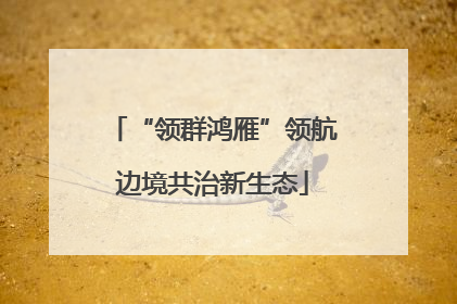 “领群鸿雁”领航边境共治新生态