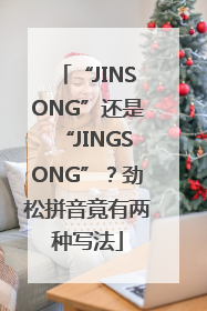 “JINSONG”还是“JINGSONG”？劲松拼音竟有两种写法