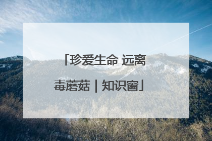 珍爱生命 远离毒蘑菇｜知识窗
