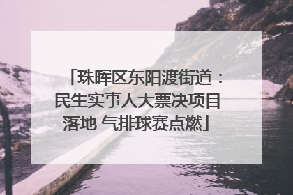 珠晖区东阳渡街道：民生实事人大票决项目落地 气排球赛点燃