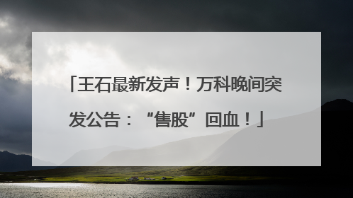 王石最新发声！万科晚间突发公告：“售股”回血！