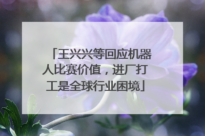王兴兴等回应机器人比赛价值，进厂打工是全球行业困境