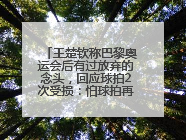 王楚钦称巴黎奥运会后有过放弃的念头，回应球拍2次受损：怕球拍再坏用副板练习