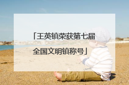 王英镇荣获第七届全国文明镇称号