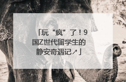 玩“疯”了！9国Z世代留学生的静安奇遇记↗