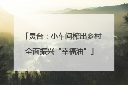 灵台：小车间榨出乡村全面振兴“幸福油”