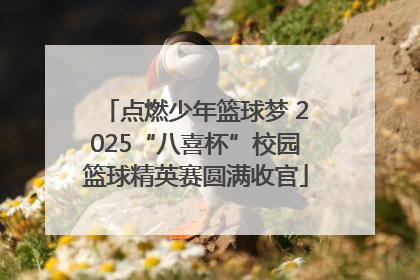点燃少年篮球梦 2025“八喜杯”校园篮球精英赛圆满收官