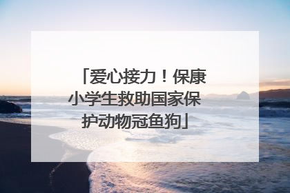 爱心接力！保康小学生救助国家保护动物冠鱼狗