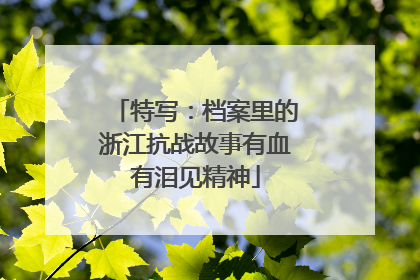 特写：档案里的浙江抗战故事有血有泪见精神