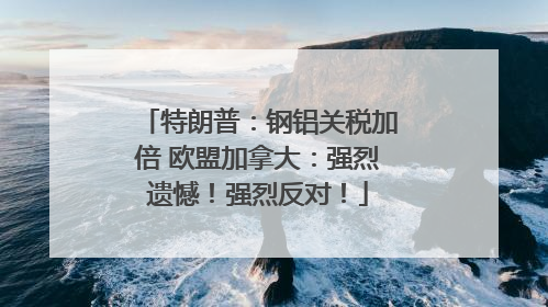 特朗普：钢铝关税加倍 欧盟加拿大：强烈遗憾！强烈反对！