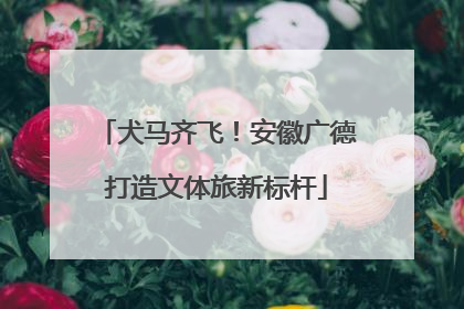 犬马齐飞！安徽广德打造文体旅新标杆