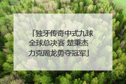 独牙传奇中式九球全球总决赛 楚秉杰力克周龙勇夺冠军