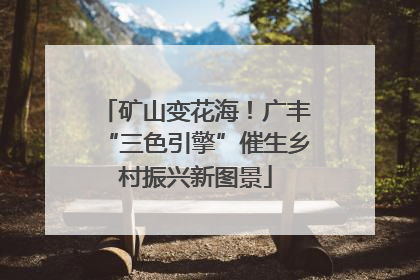 矿山变花海！广丰“三色引擎”催生乡村振兴新图景