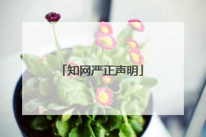 知网严正声明