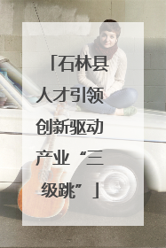 石林县人才引领创新驱动产业“三级跳”