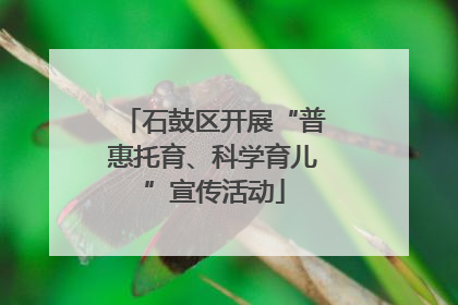 石鼓区开展“普惠托育、科学育儿”宣传活动