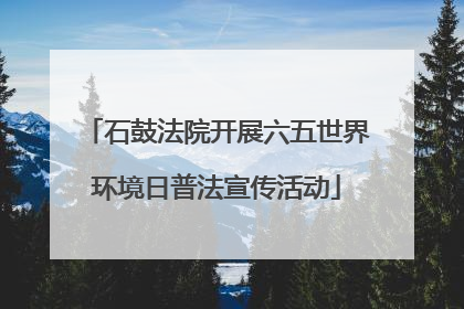 石鼓法院开展六五世界环境日普法宣传活动