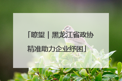 瞭望｜黑龙江省政协精准助力企业纾困