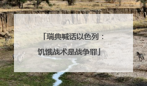 瑞典喊话以色列：饥饿战术是战争罪
