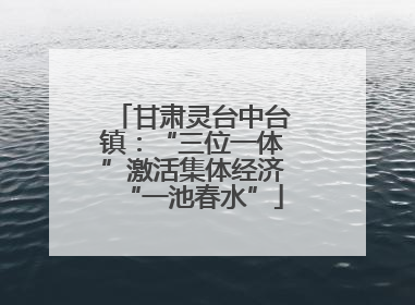 甘肃灵台中台镇：“三位一体”激活集体经济“一池春水”