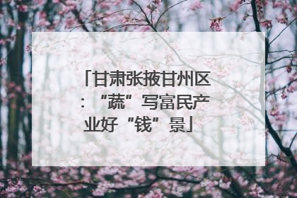 甘肃张掖甘州区：“蔬”写富民产业好“钱”景