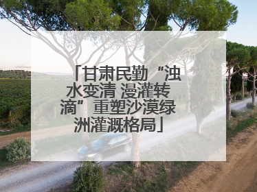 甘肃民勤“浊水变清 漫灌转滴”重塑沙漠绿洲灌溉格局