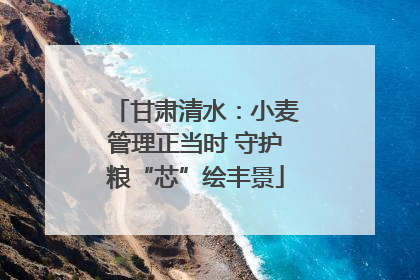甘肃清水：小麦管理正当时 守护粮“芯”绘丰景