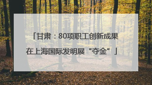 甘肃：80项职工创新成果在上海国际发明展“夺金”