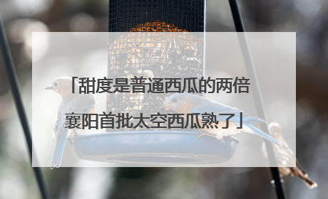 甜度是普通西瓜的两倍 襄阳首批太空西瓜熟了