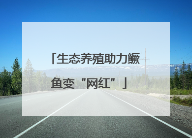 生态养殖助力鳜鱼变“网红”
