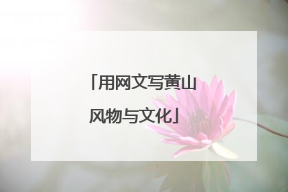 用网文写黄山风物与文化