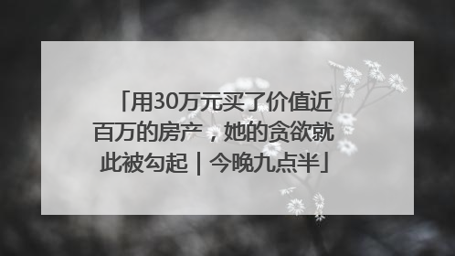 用30万元买了价值近百万的房产，她的贪欲就此被勾起｜今晚九点半