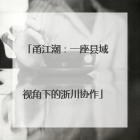 甬江潮：一座县域视角下的浙川协作