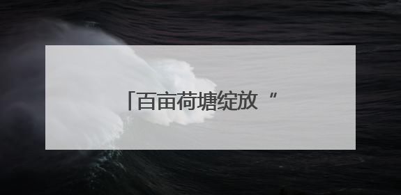 百亩荷塘绽放“美丽经济”“莲”通乡村振兴路