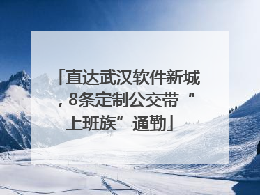 直达武汉软件新城，8条定制公交带“上班族”通勤