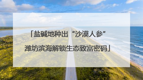 盐碱地种出“沙漠人参” 潍坊滨海解锁生态致富密码