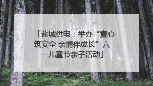 盐城供电：举办“童心筑安全 亲情伴成长”六一儿童节亲子活动
