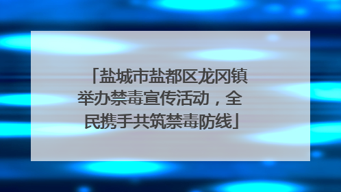 盐城市盐都区龙冈镇举办禁毒宣传活动，全民携手共筑禁毒防线