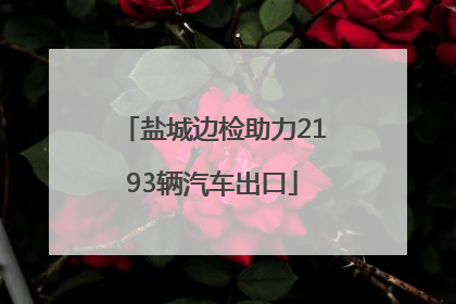 盐城边检助力2193辆汽车出口