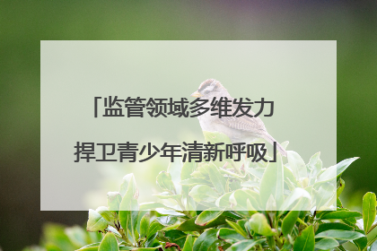 监管领域多维发力 捍卫青少年清新呼吸