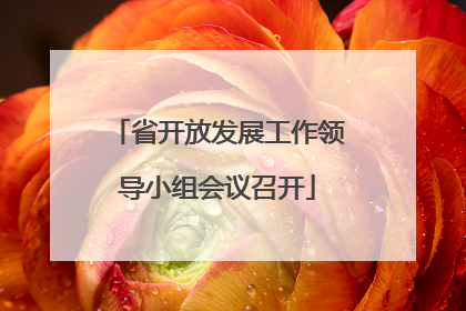 省开放发展工作领导小组会议召开