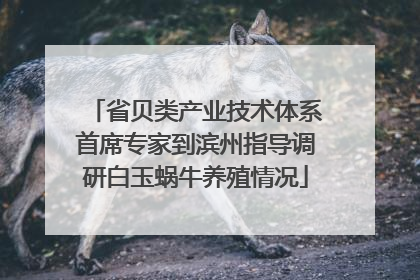 省贝类产业技术体系首席专家到滨州指导调研白玉蜗牛养殖情况